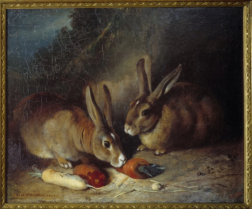 Conigli - Musee Beaux Arts, Bordeaux